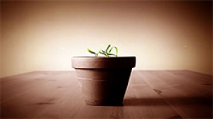 If You're Not Growing, You're Dying