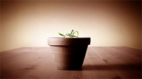 If You're Not Growing, You're Dying